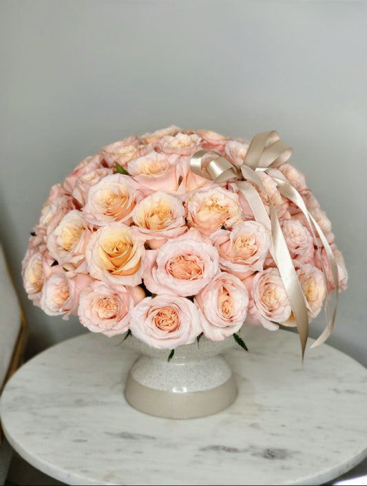 Adorable Roses