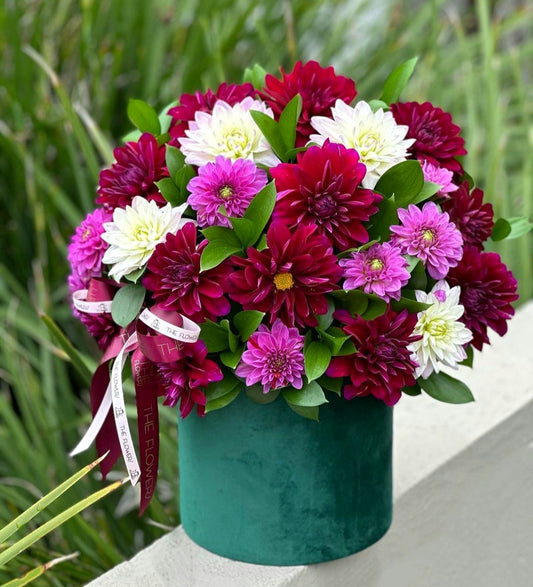 Colorful Dahlias